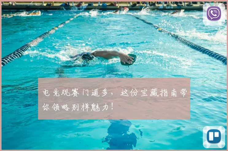 电竞观赛门道多,这份宝藏指南带你领略别样魅力!