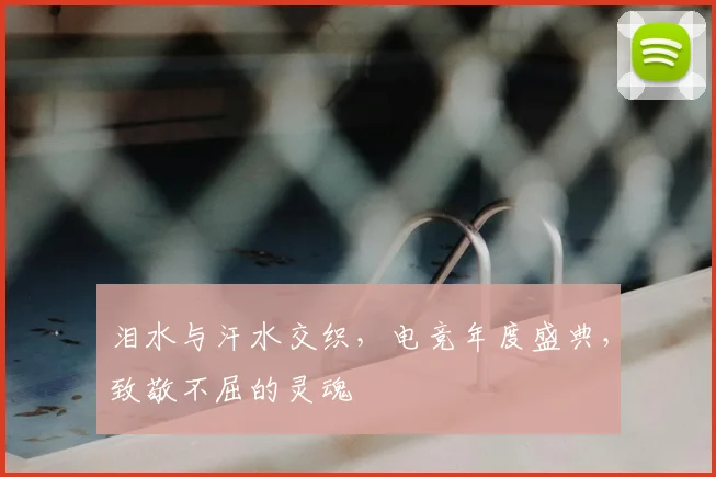 泪水与汗水交织，电竞年度盛典，致敬不屈的灵魂