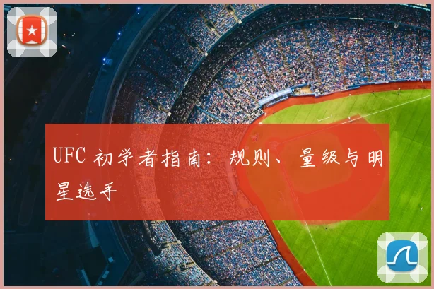 UFC 初学者指南:规则、量级与明星选手