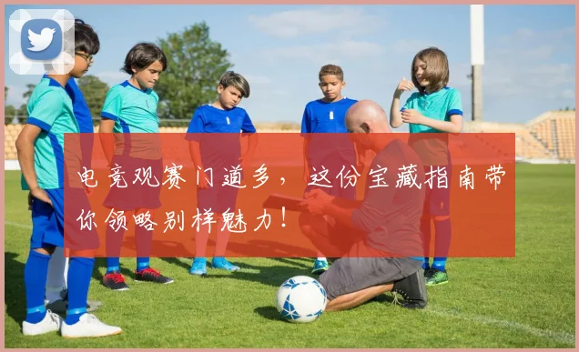 电竞观赛门道多，这份宝藏指南带你领略别样魅力！