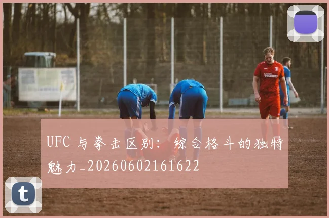 UFC 与拳击区别：综合格斗的独特魅力_20260602161622
